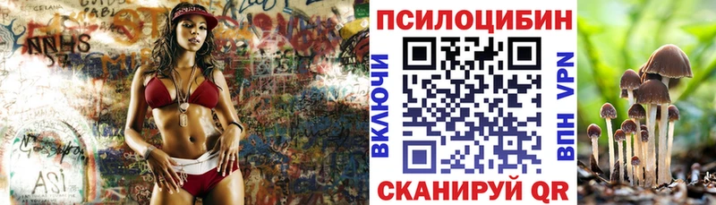 mega ССЫЛКА  shop наркотические препараты  Псилоцибиновые грибы Cubensis  продажа наркотиков  Челябинск 